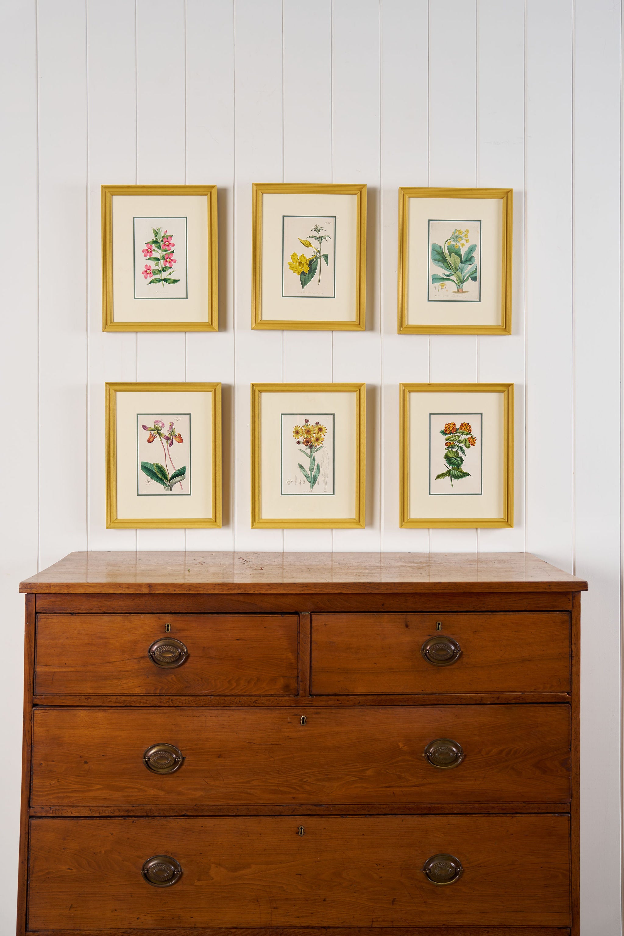 Antique Hand Colored Botanical (c. 1823) | Double Matted + Custom Farrow & Ball 'India Yellow' Frame