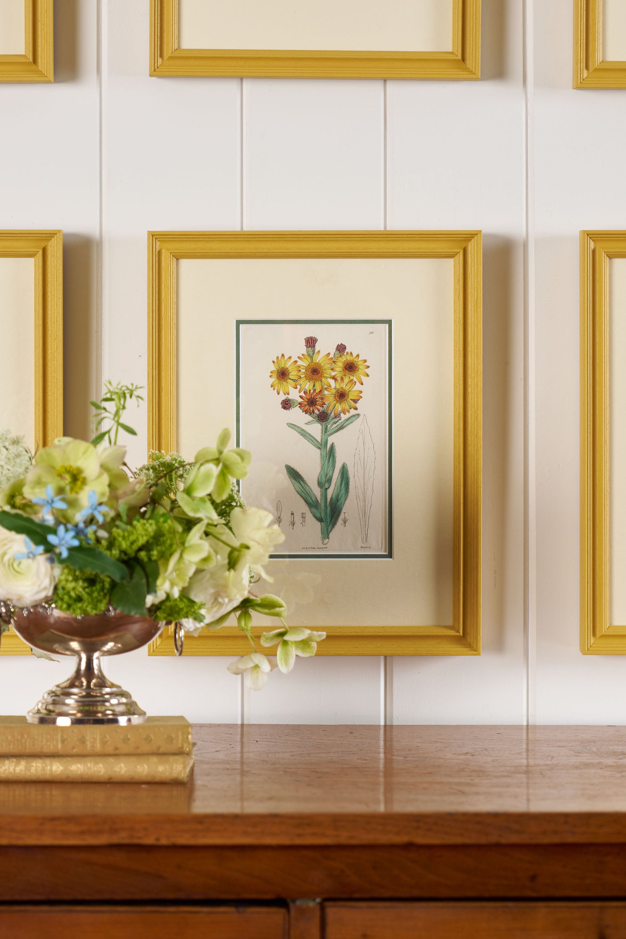 Antique Hand Colored Botanical (c. 1823) | Double Matted + Custom Farrow & Ball 'India Yellow' Frame