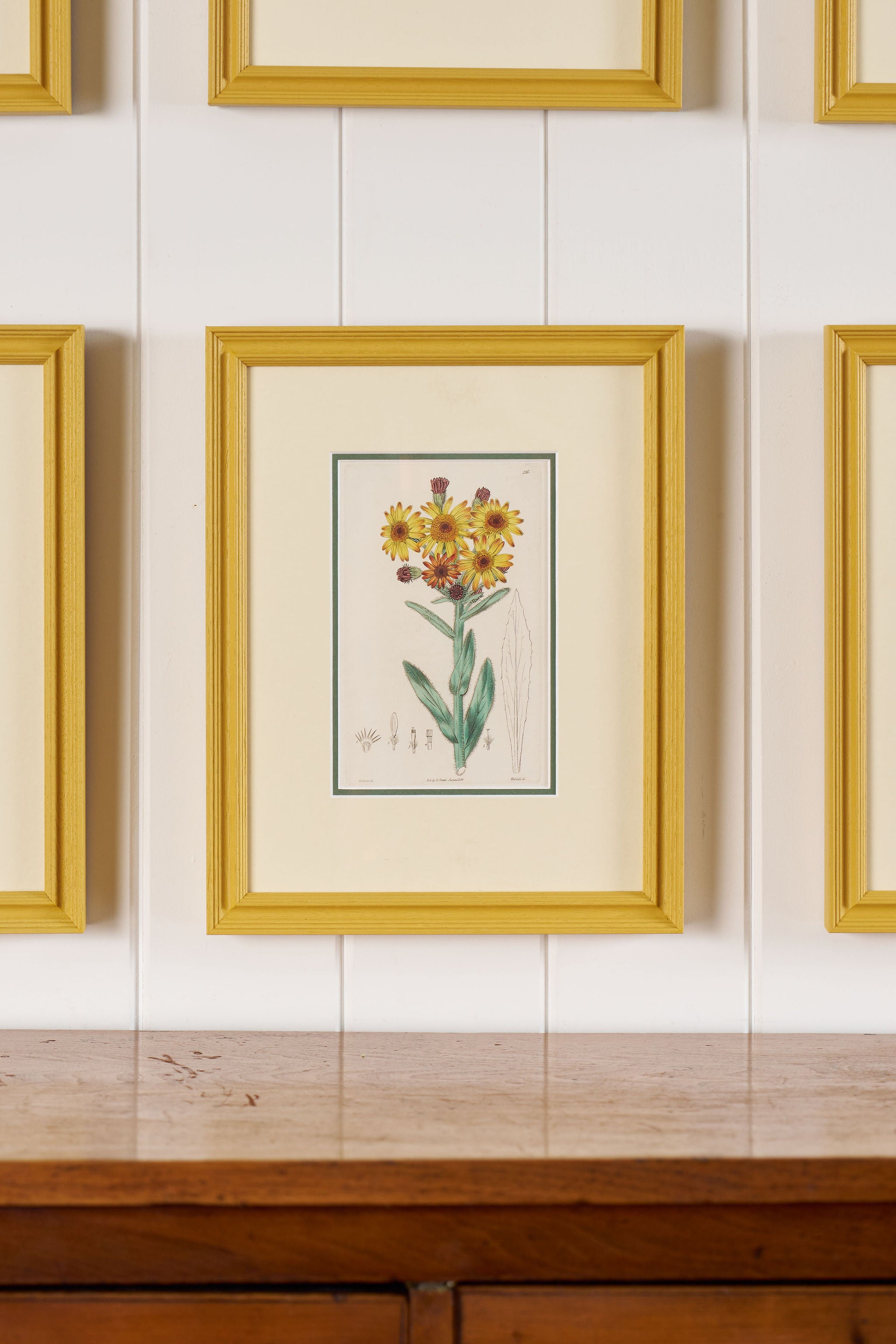 Antique Hand Colored Botanical (c. 1823) | Double Matted + Custom Farrow & Ball 'India Yellow' Frame