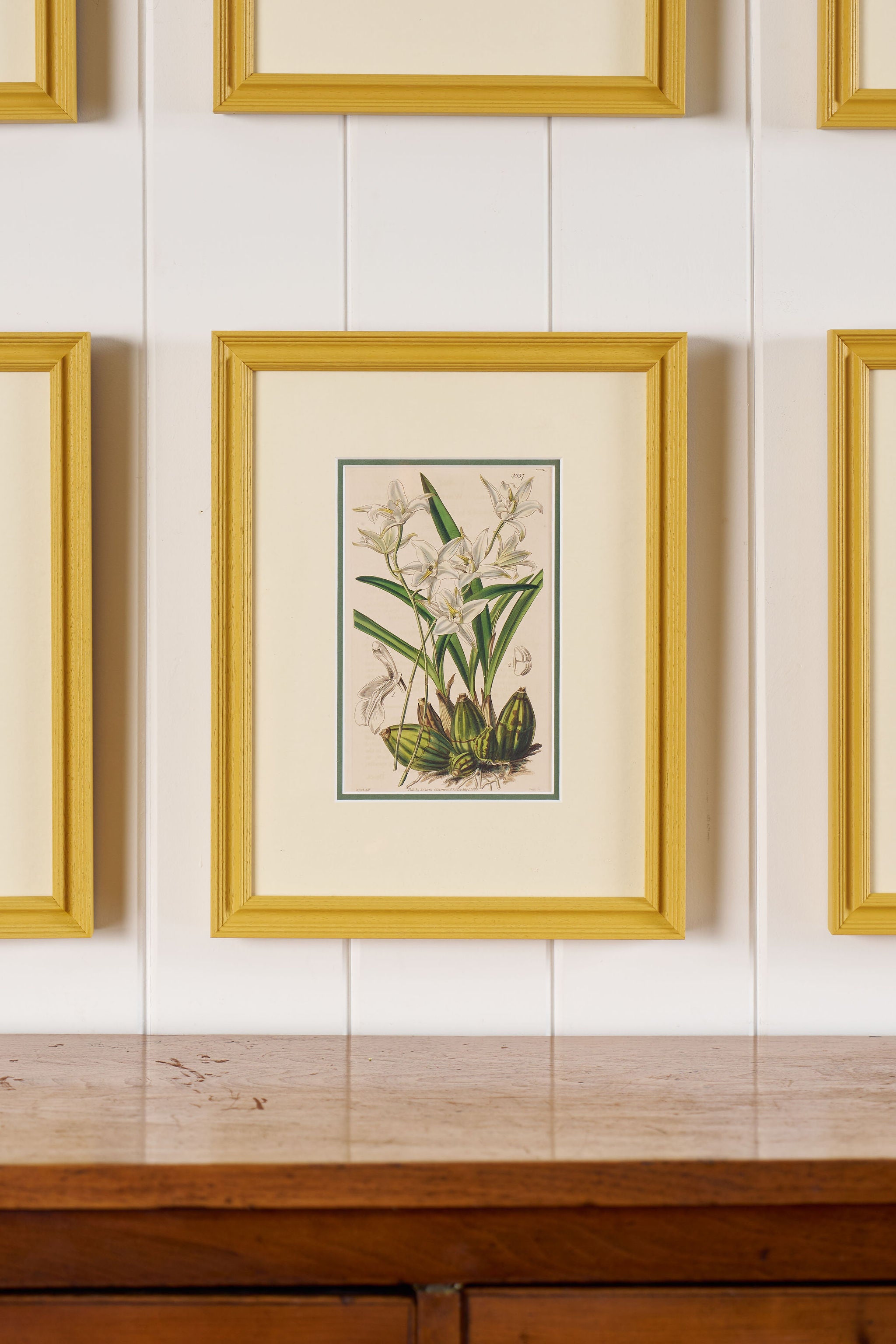 Antique Hand Colored Botanical (c. 1823) | Double Matted + Custom Farrow & Ball 'India Yellow' Frame