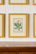 Load image into Gallery viewer, Antique Hand Colored Botanical (c. 1823) | Double Matted + Custom Farrow & Ball 'India Yellow' Frame
