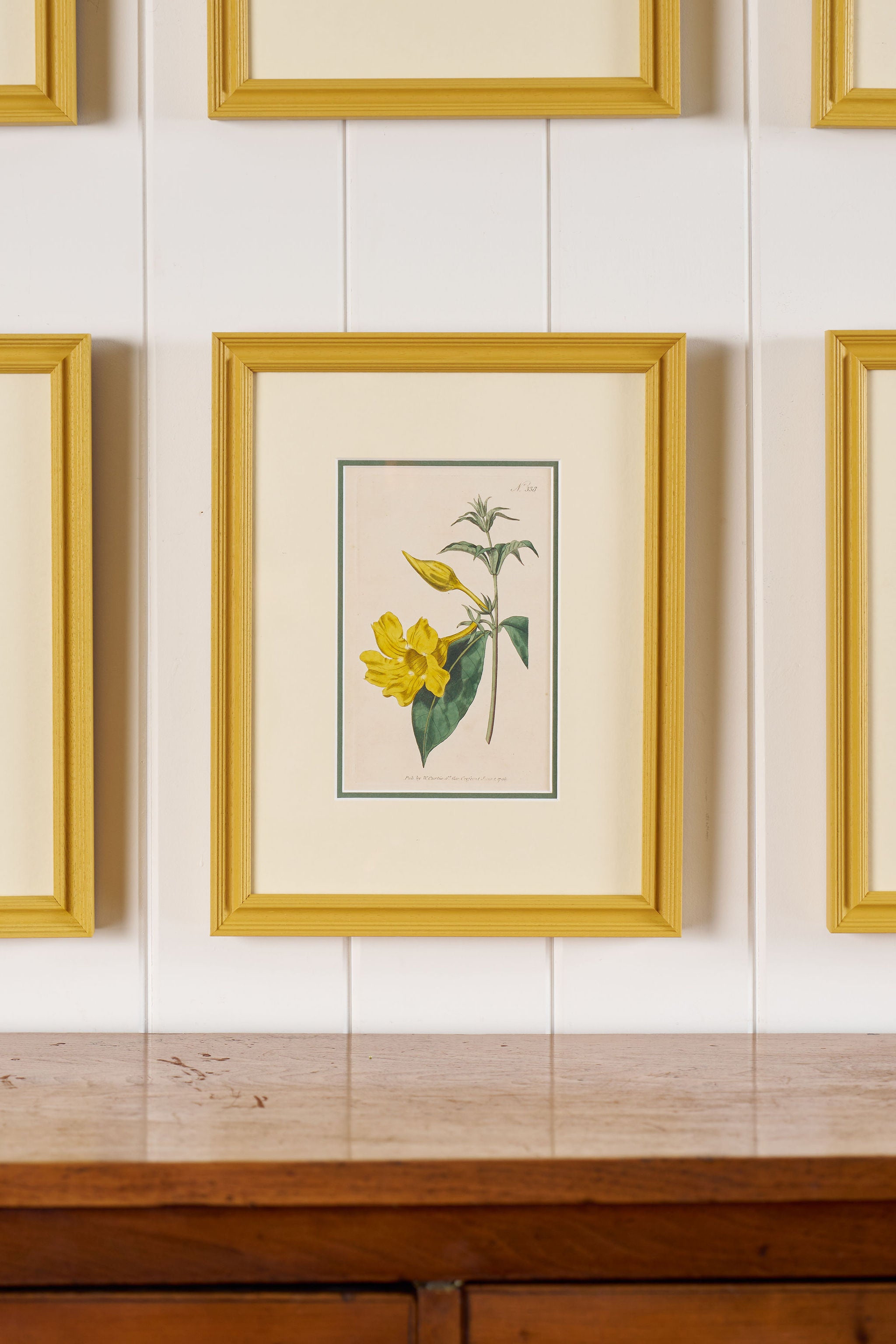 Antique Hand Colored Botanical (c. 1823) | Double Matted + Custom Farrow & Ball 'India Yellow' Frame