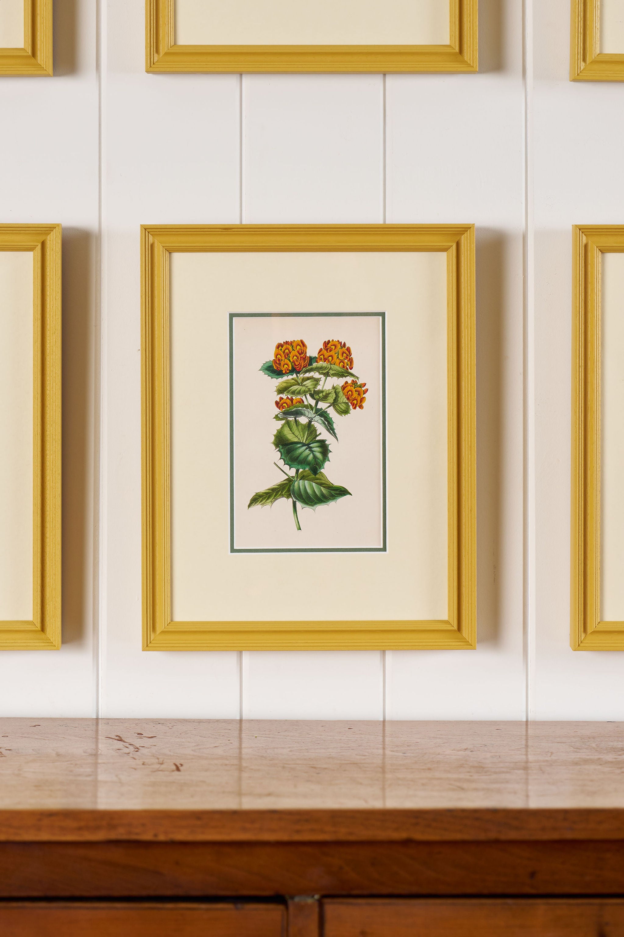 Antique Hand Colored Botanical (c. 1823) | Double Matted + Custom Farrow & Ball 'India Yellow' Frame