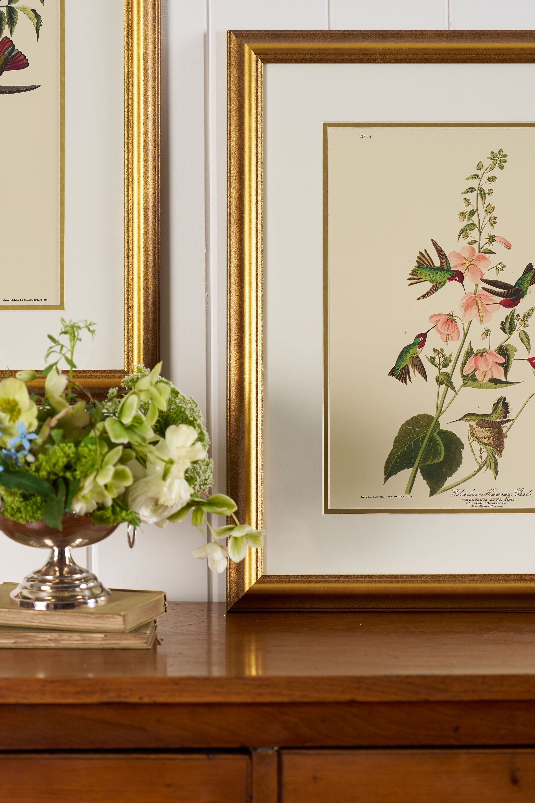 PAIR of Vintage Framed John J. Audubon Hummingbird Prints | "Columbian Hummingbird" + "Mango Hummingbird"