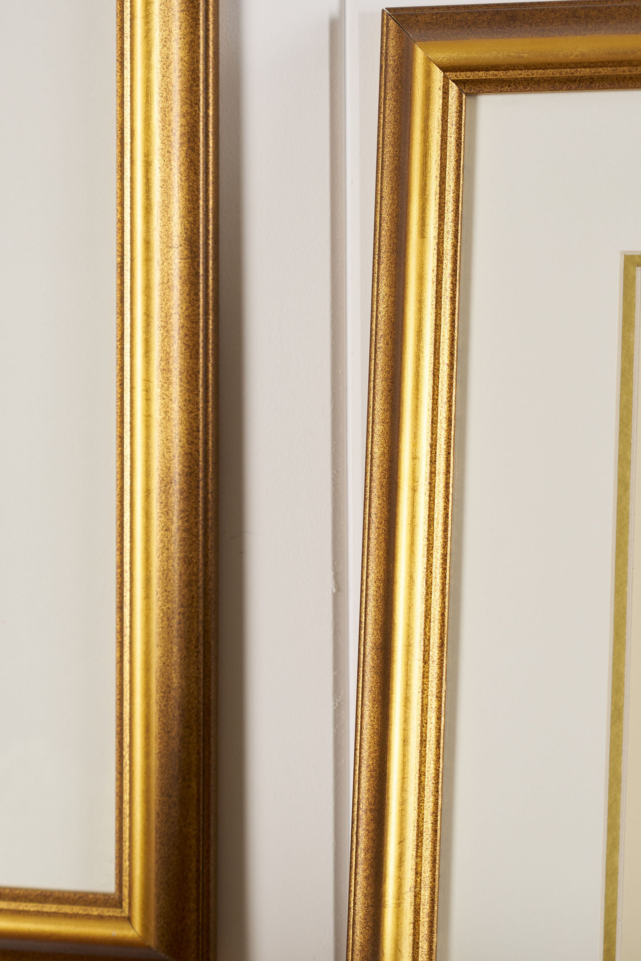 PAIR of Vintage Framed John J. Audubon Hummingbird Prints | "Columbian Hummingbird" + "Mango Hummingbird"