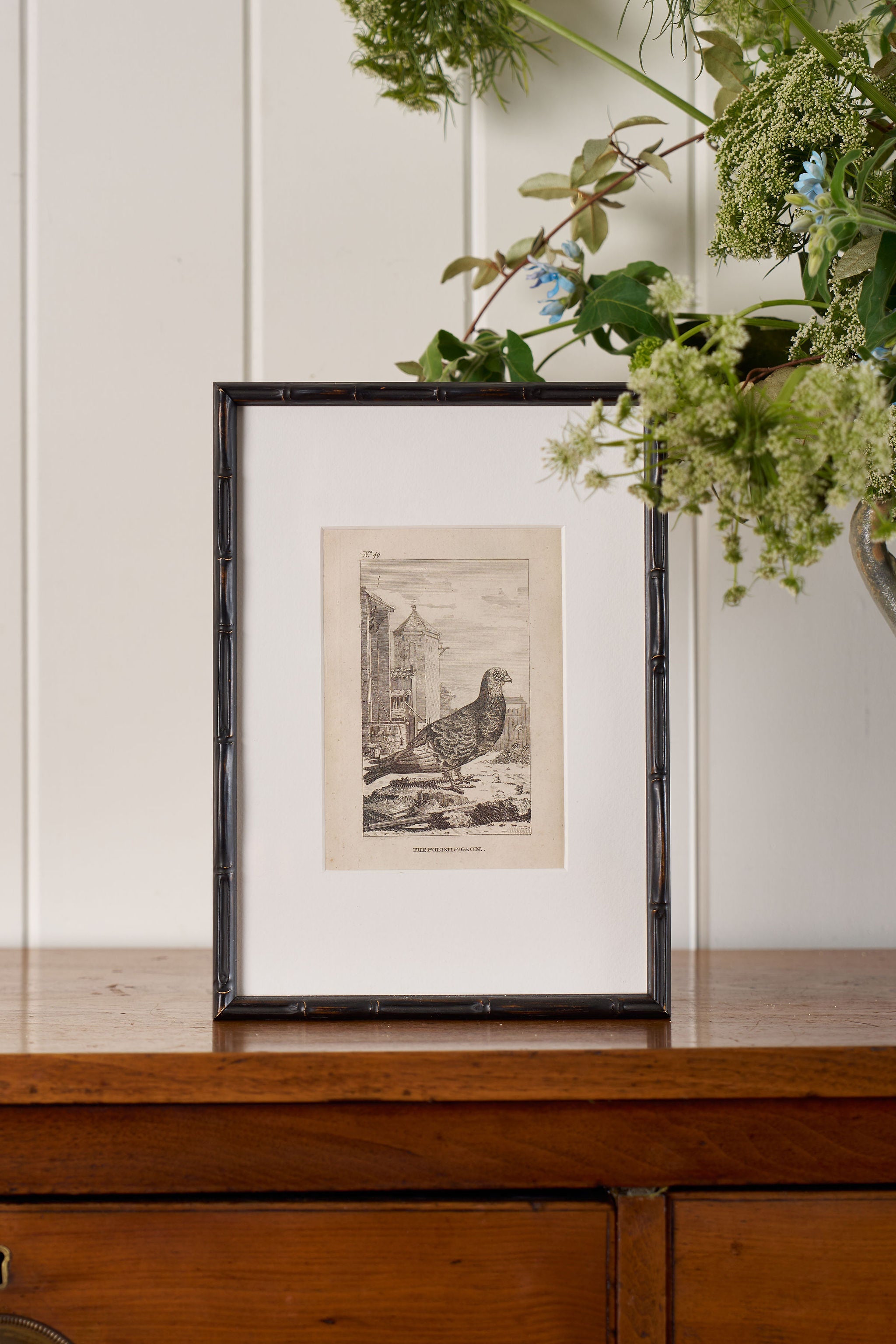 18th Century Copper Plated Bird Engraving by Buffon in Custom Faux Bamboo Frame (c. 1790)