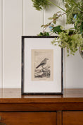 Load image into Gallery viewer, 18th Century Copper Plated Bird Engraving by Buffon in Custom Faux Bamboo Frame (c. 1790)
