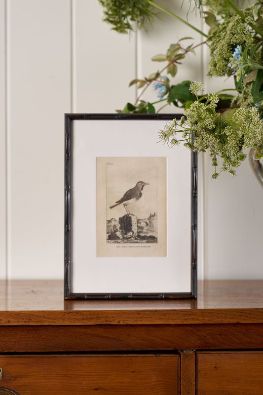 18th Century Copper Plated Bird Engraving by Buffon in Custom Faux Bamboo Frame (c. 1790)