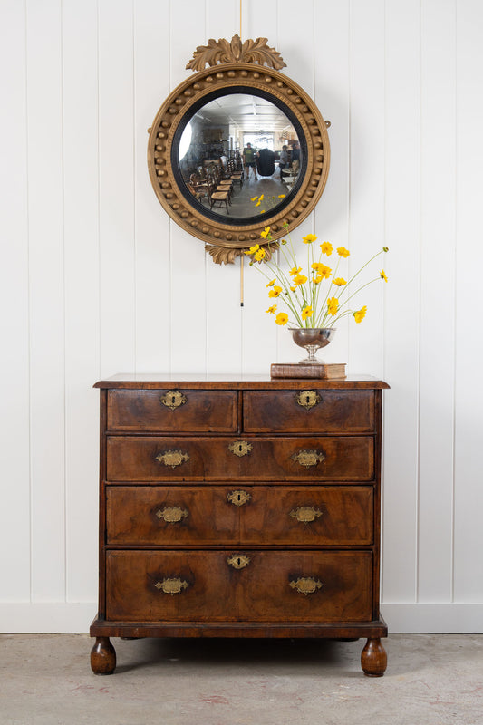 Early 18th Century William & Mary Burl Walnut Chest of Drawers with Inlay Top on Bun Feet (c. 1720)
