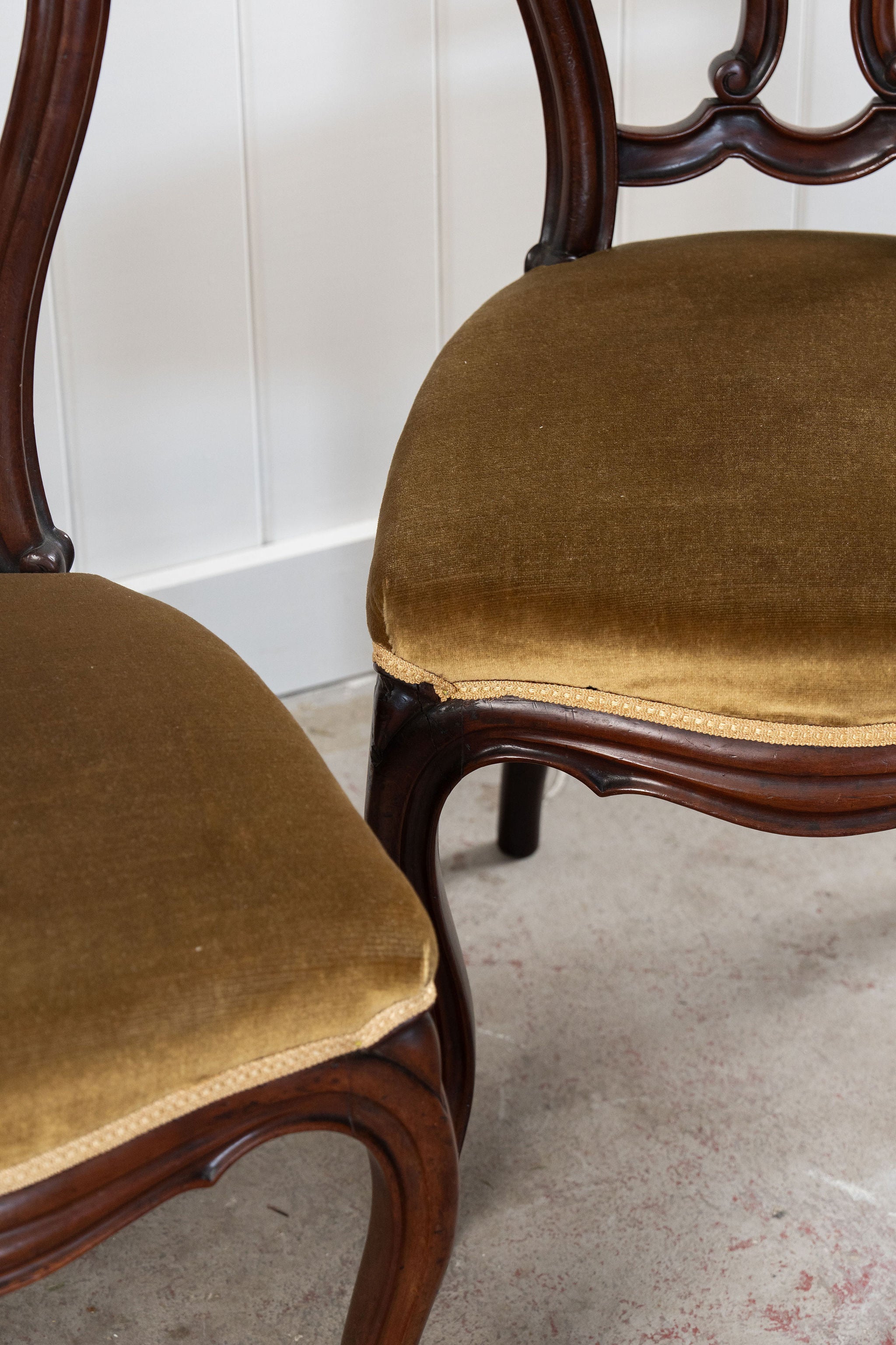 PAIR of Victorian Mahogany Rounded Chairs with Velvet Upholstery (c. 1880)