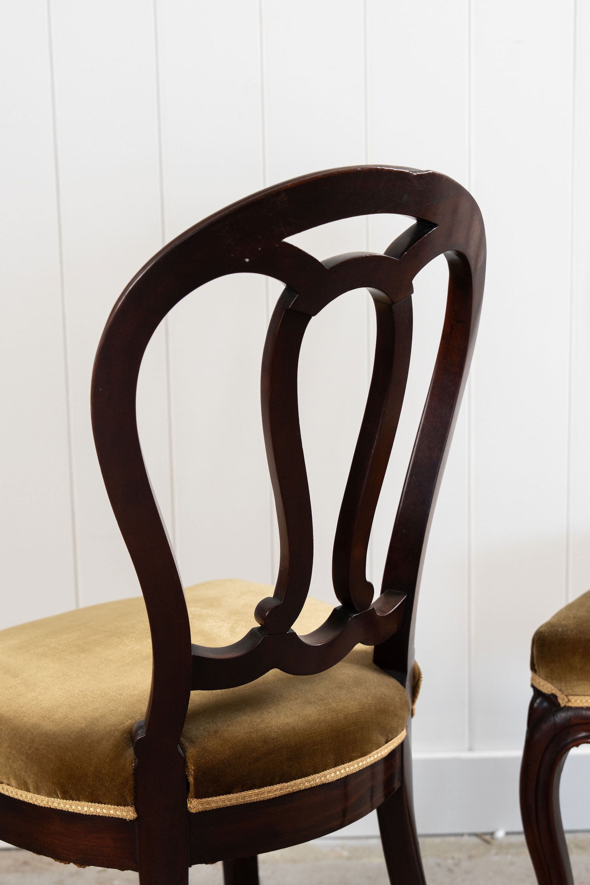 PAIR of Victorian Mahogany Rounded Chairs with Velvet Upholstery (c. 1880)