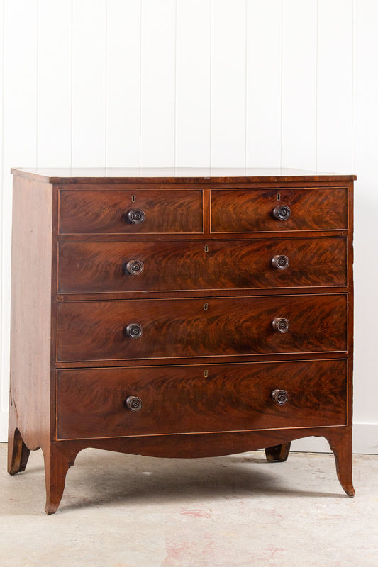 19th Century English Mahogany Chest with Banded Top + Wooden Knobs