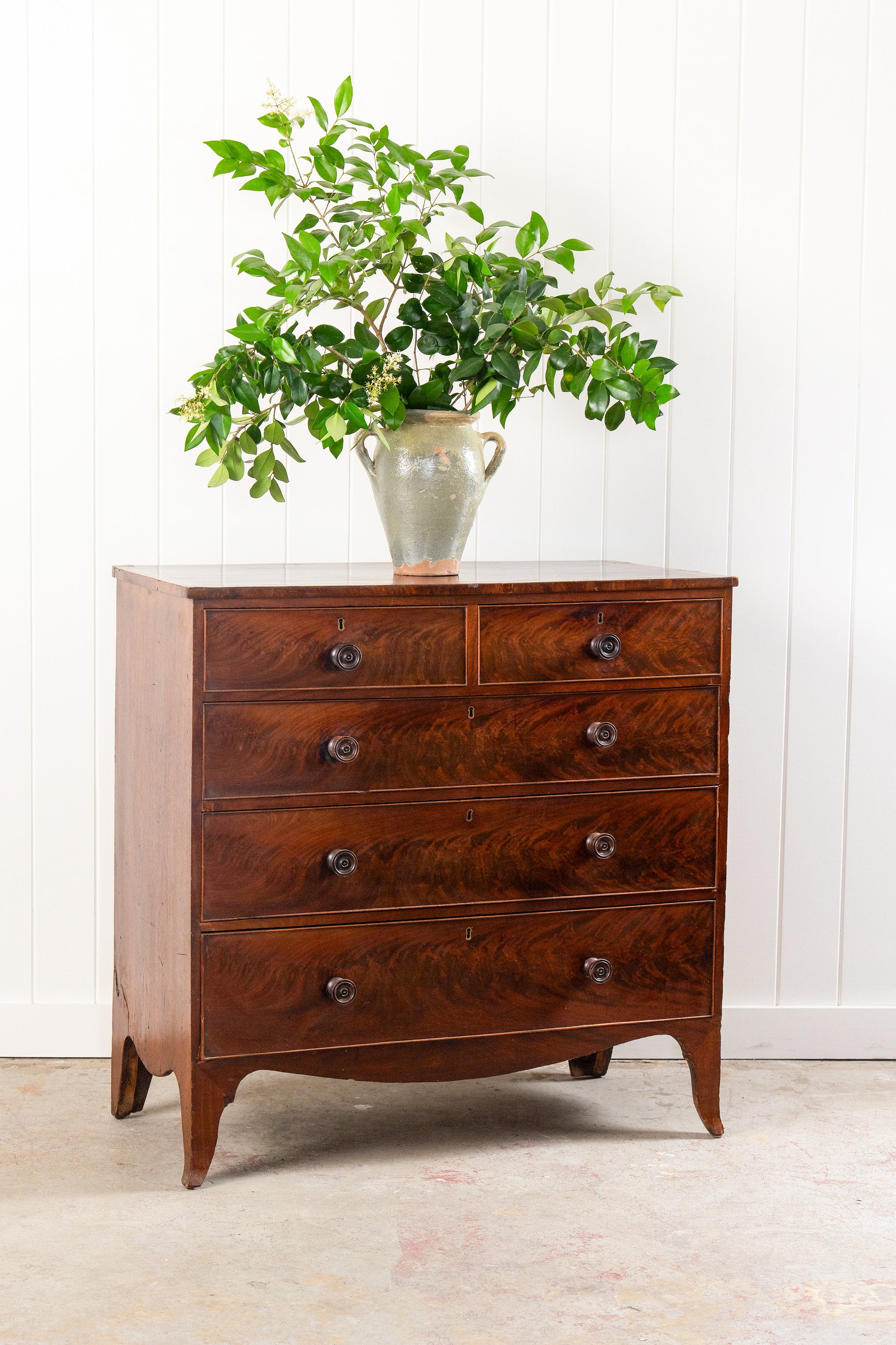 19th Century English Mahogany Chest with Banded Top + Wooden Knobs