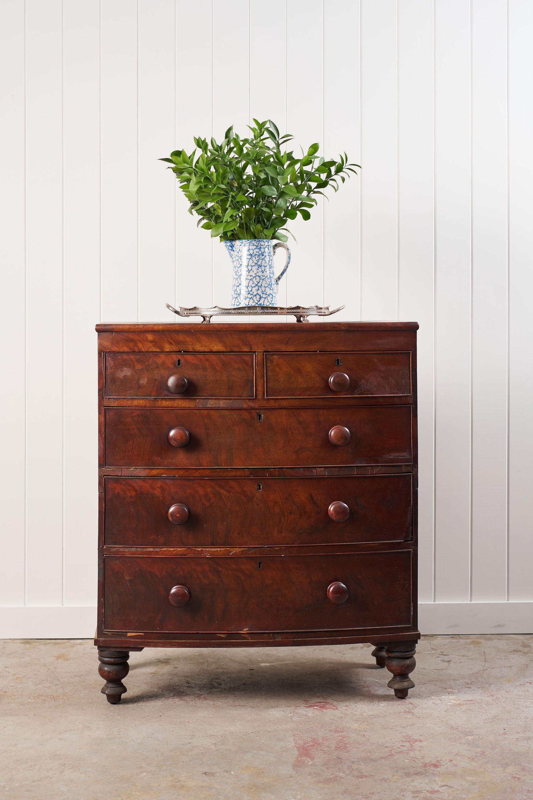19th Century Walnut Bow Front Chest on Tulip Feet