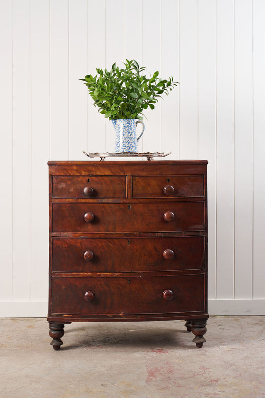 19th Century Walnut Bow Front Chest on Tulip Feet