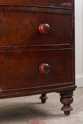 Load image into Gallery viewer, 19th Century Walnut Bow Front Chest on Tulip Feet
