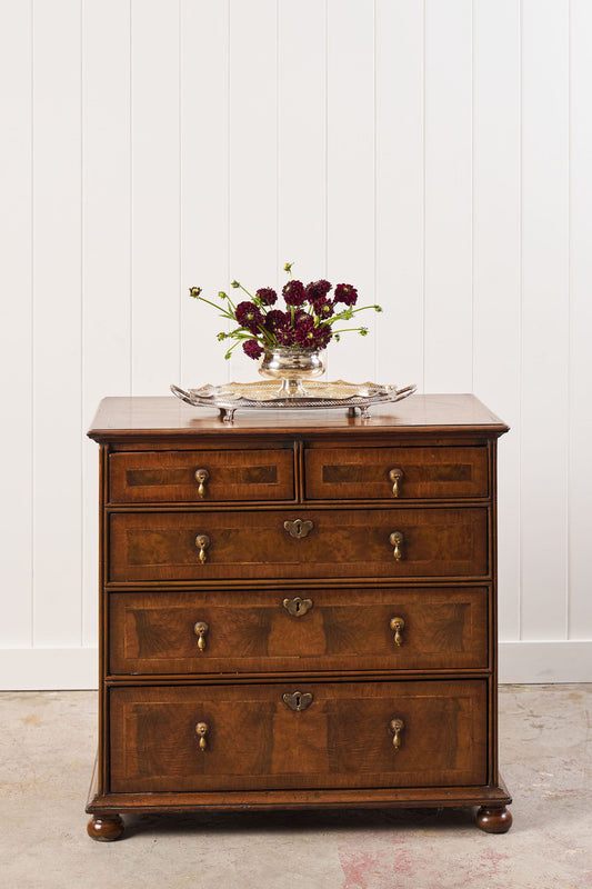 William & Mary Burl Walnut Chest (c. 1690)