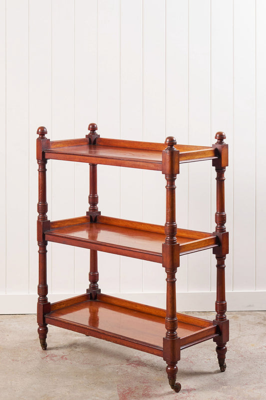 19th Century Mahogany Trolley/Server on Castors