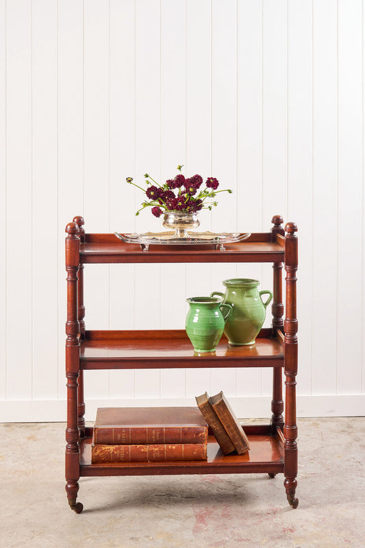 19th Century Mahogany Trolley/Server on Castors