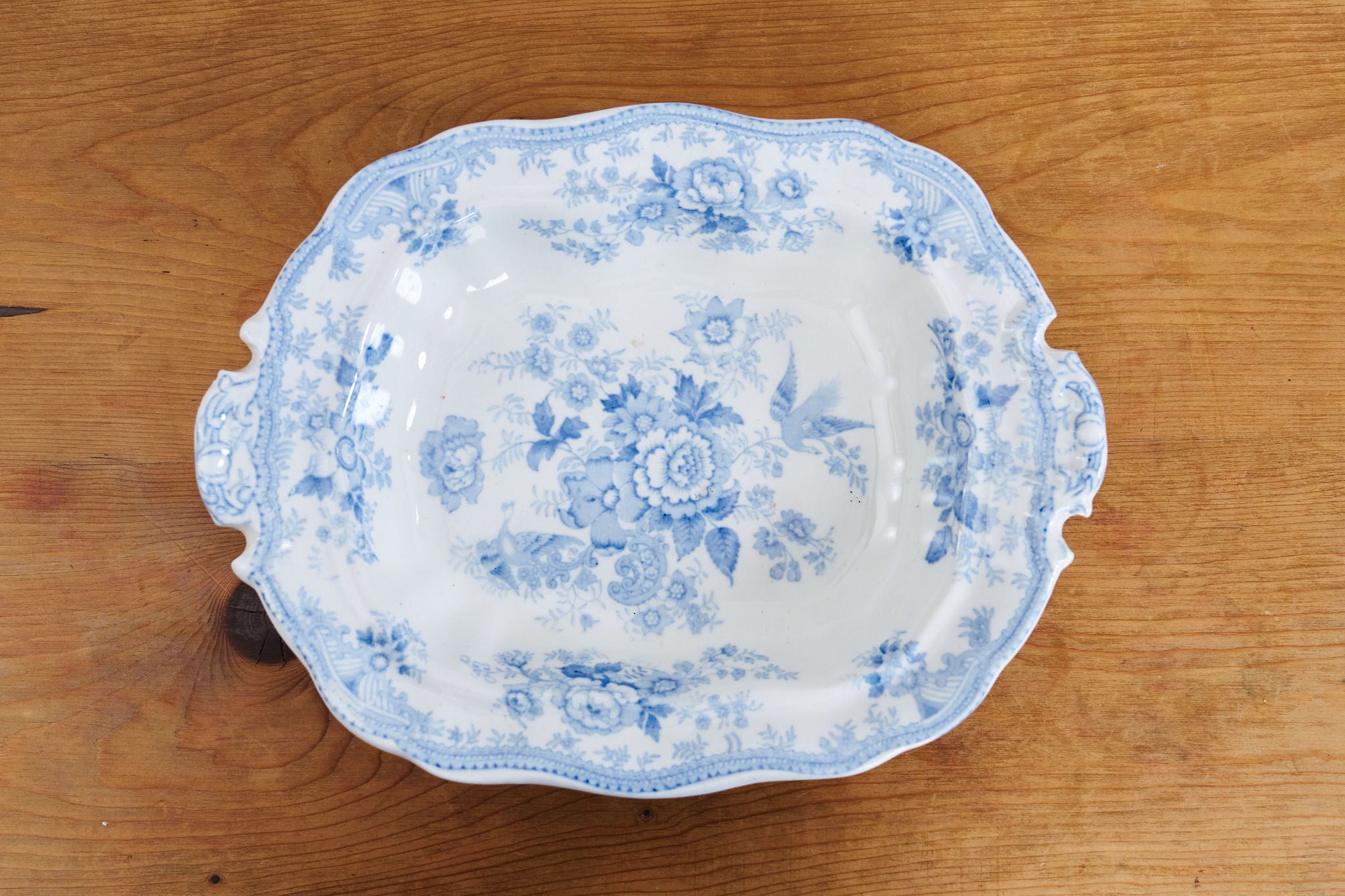 Antique Asiatic Pheasant Serving Dish 11.5”