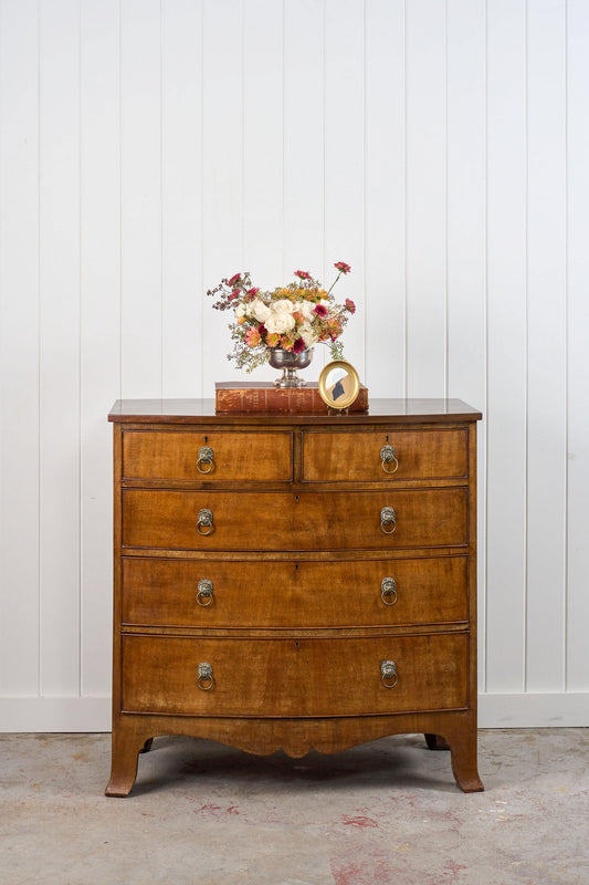 19th Century Mahogany Chest with Lion Head Pulls