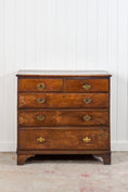 Load image into Gallery viewer, Oak Two Over Three Chest with Chippendale Pulls
