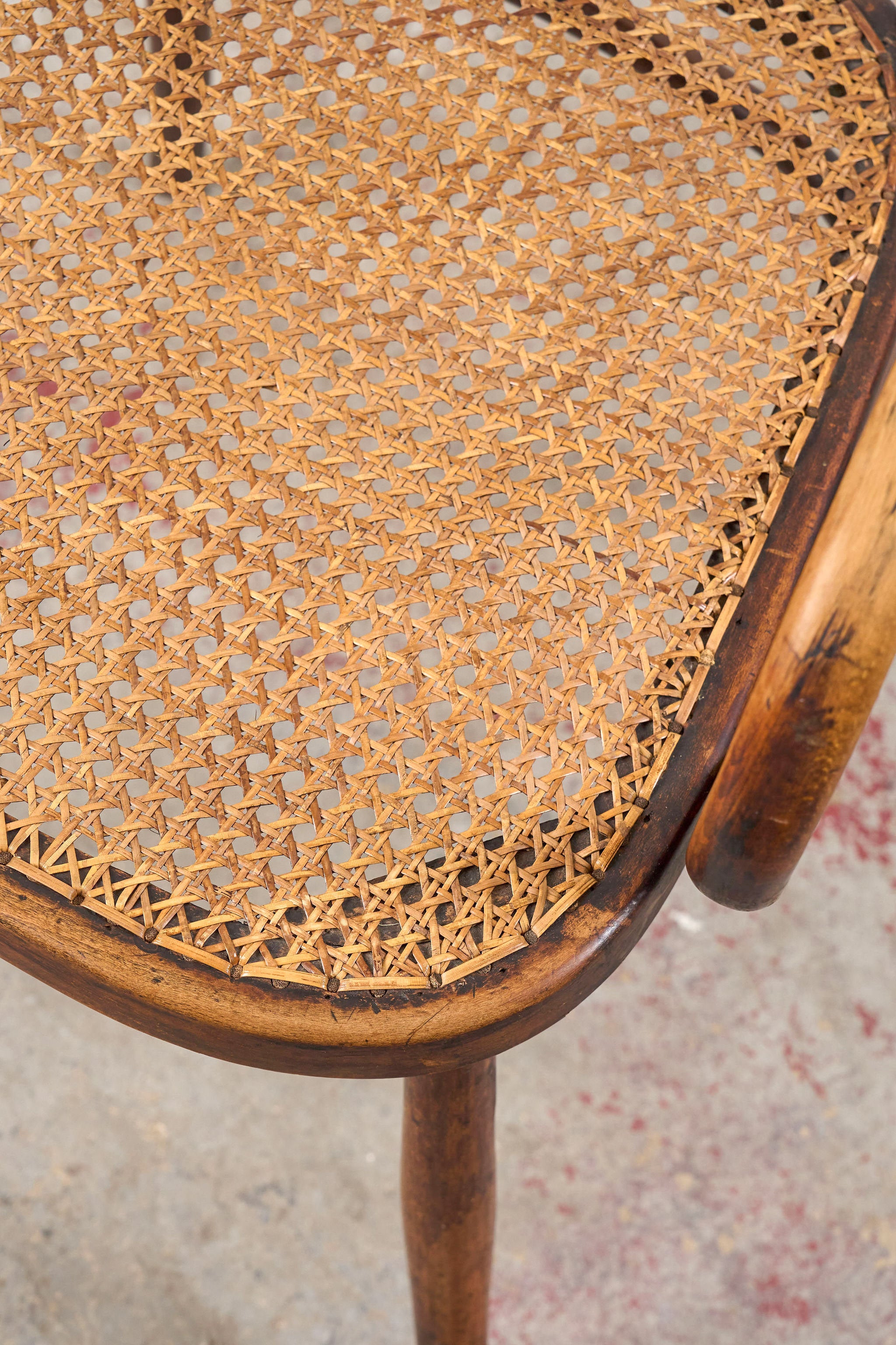 Edwardian Bentwood Occasional Chair with Hand Tied Cane Seat