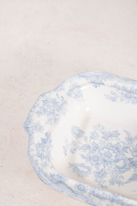 19th Century Asiatic Pheasant Square Tureen (no lid)