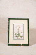 Load image into Gallery viewer, Antique Botanical Hand Colored Bookplate in Contemporary Green Lacquer Frame
