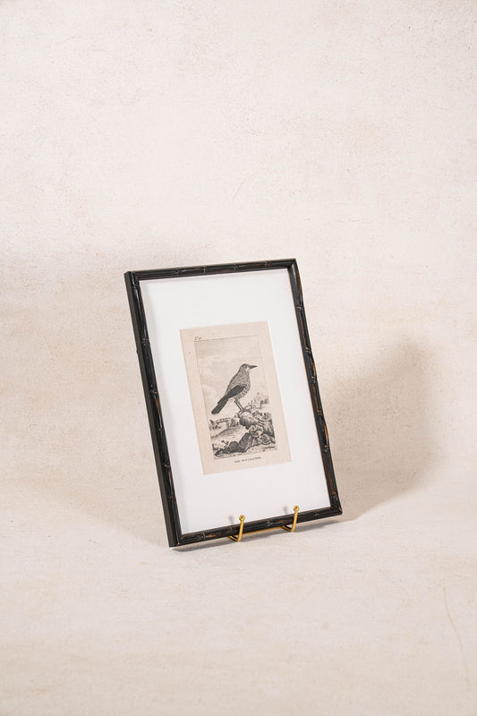 18th Century Copper Plated Bird Engraving by Buffon in Custom Faux Bamboo Frame (c. 1790)