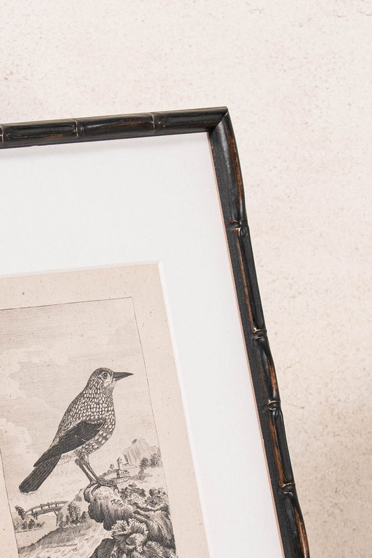 18th Century Copper Plated Bird Engraving by Buffon in Custom Faux Bamboo Frame (c. 1790)