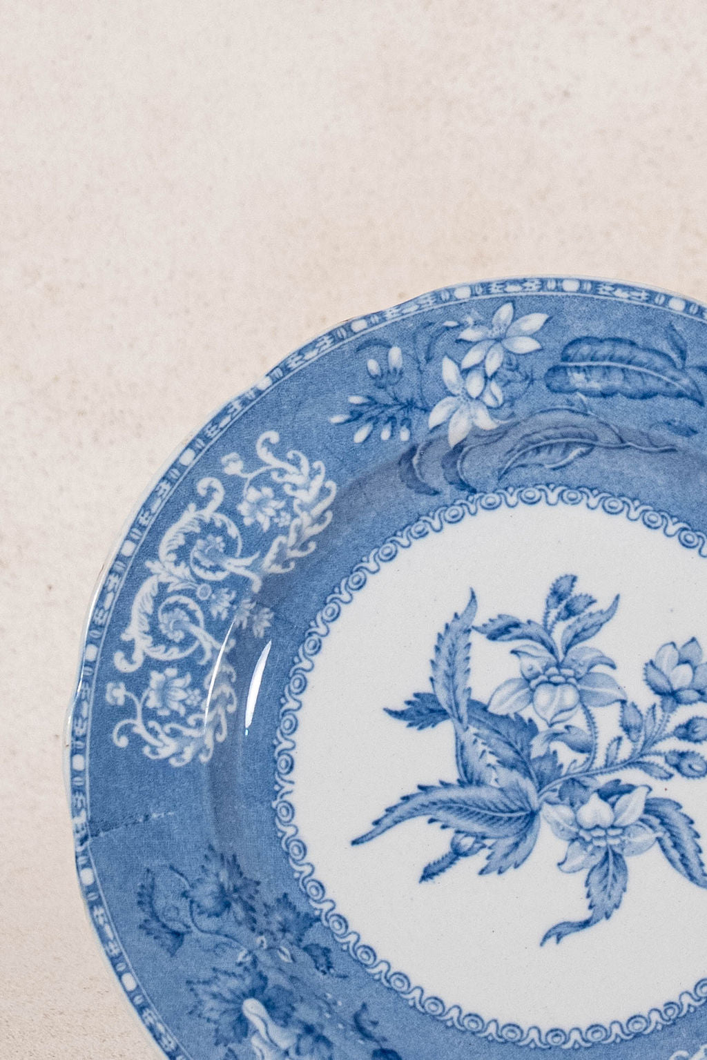 SET of 5 Antique English Spode 'Camilla Rose' 7.5” Plates