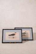 Load image into Gallery viewer, Antique Hand Colored Bird Engraving (c. 1865) | in Contemporary Black Bamboo Frame
