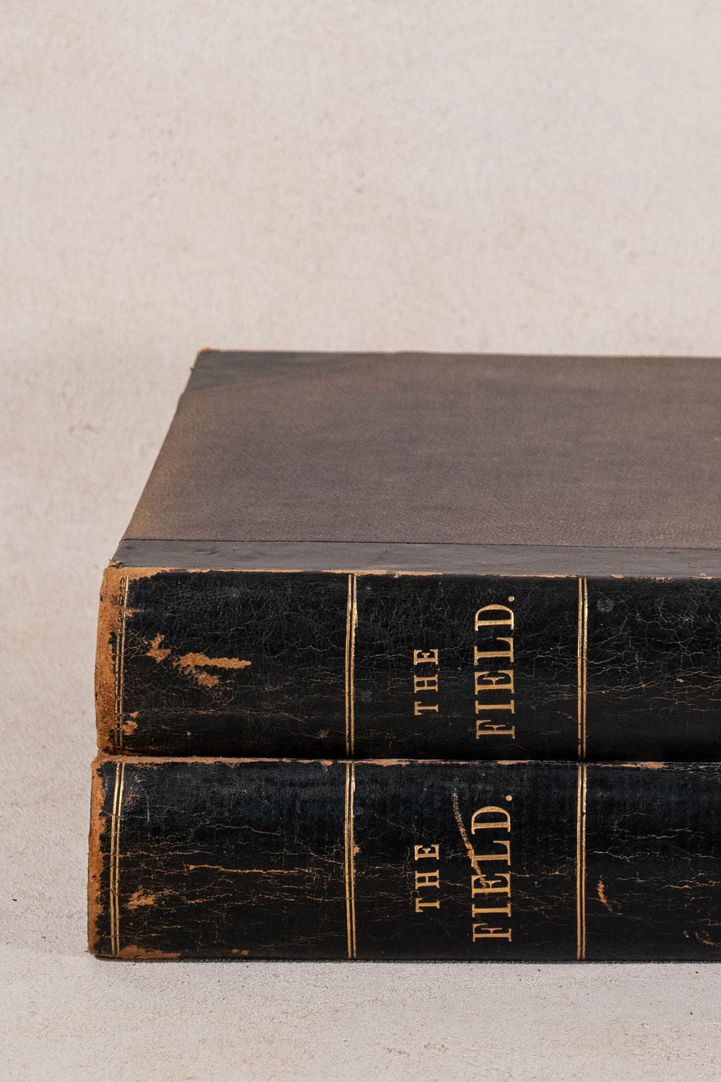Single Volume of 'THE FIELD' | British Gentlemen's Sporting Magazine (Black)