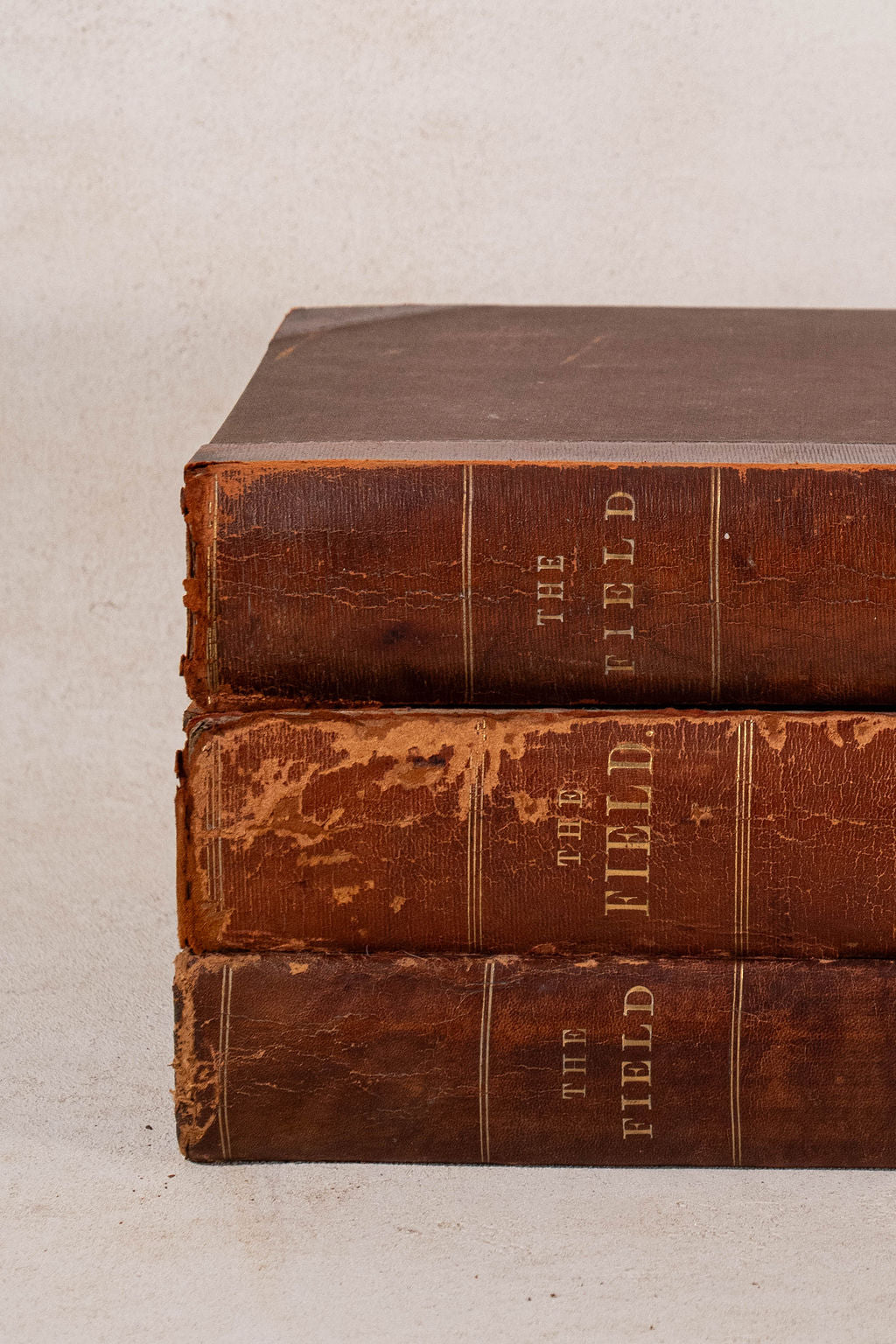 Single Volume of 'THE FIELD' | British Gentlemen's Sporting Magazine (Cognac)