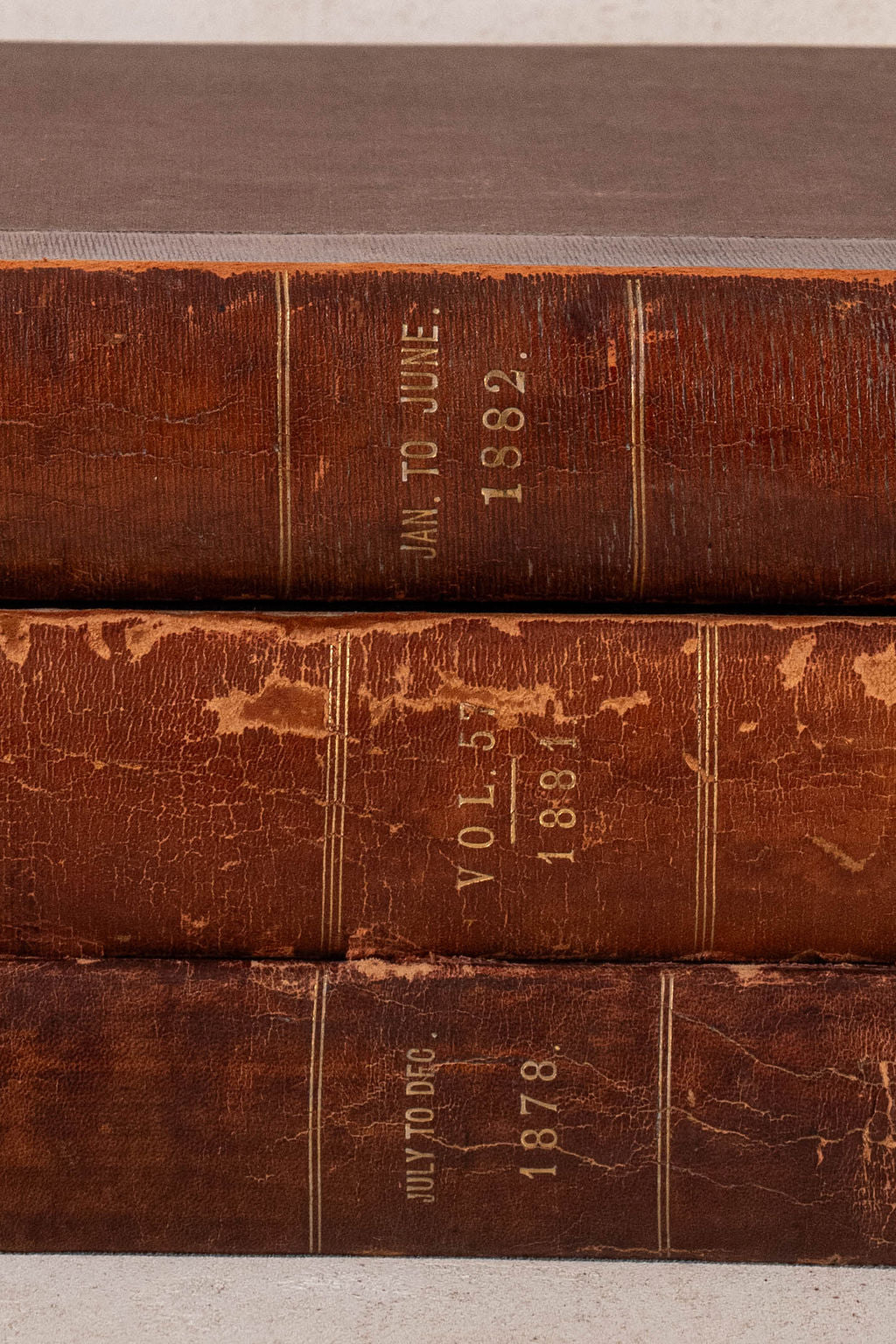 Single Volume of 'THE FIELD' | British Gentlemen's Sporting Magazine (Cognac)