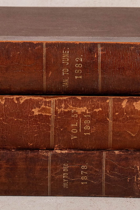 Single Volume of 'THE FIELD' | British Gentlemen's Sporting Magazine (Cognac)