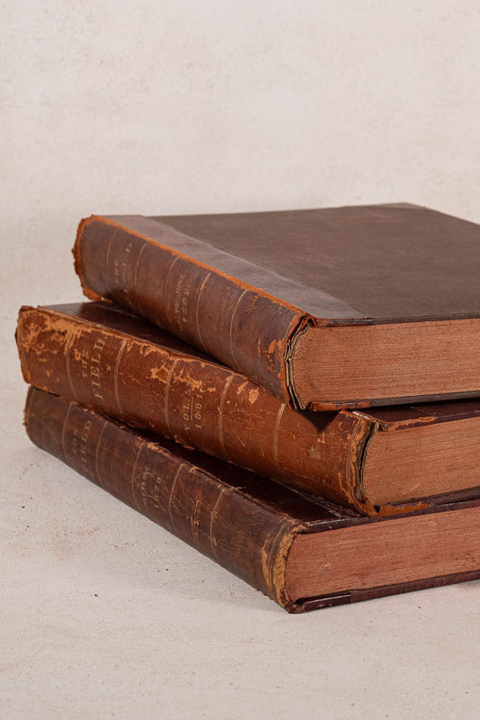 Single Volume of 'THE FIELD' | British Gentlemen's Sporting Magazine (Cognac)